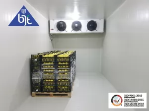 Cold Storage Chiller untuk Penyimpanan Buah Apel: Standar Ideal dan Solusi dari BJT